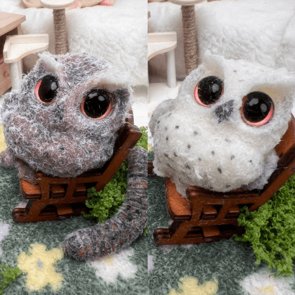 owl - 图片 3