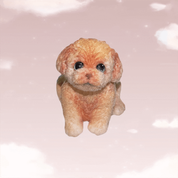 teddy - 图片 2