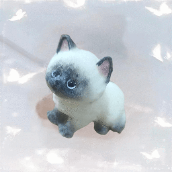 Siamese cat