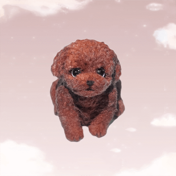 teddy
