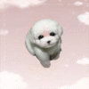 bec1ee2fd19547c3bc5554bfb9be662