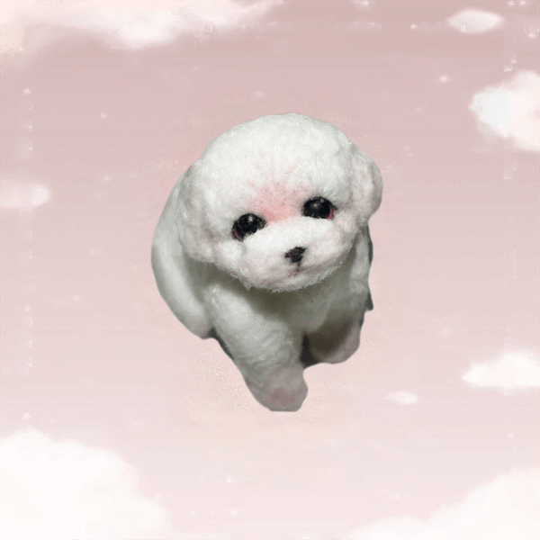 teddy - 图片 3