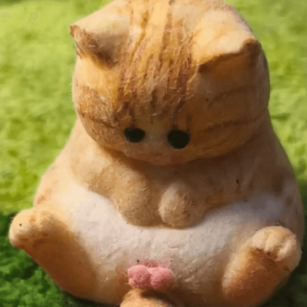 Aggrieved Cat