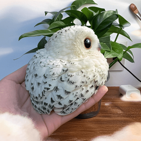 owl - 图片 5