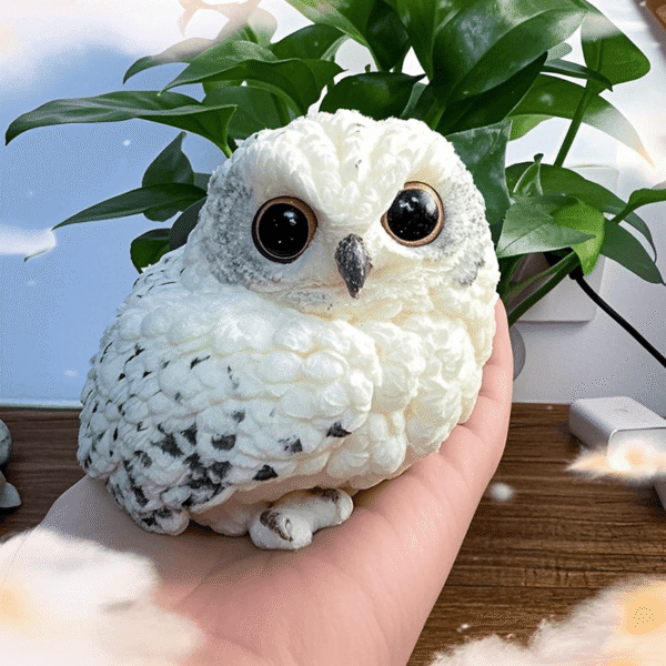 owl - 图片 4