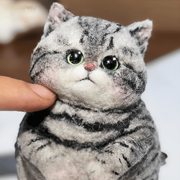 fat tabby