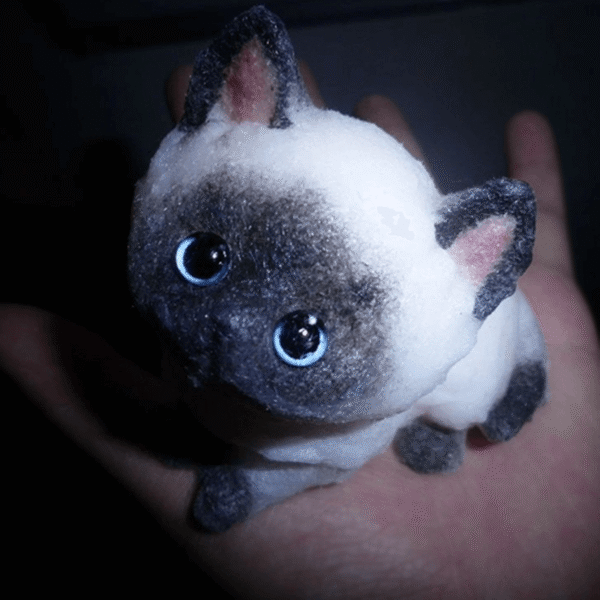 Siamese cat - 图片 2